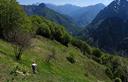 13-Pendio prativo sul crinale orientale della Cima di Camp