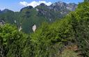 15-La mulattiera che scende verso forcella Col de Pin