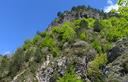 18-Boscaglia in aspetto primaverile sulle pendici della Cima di Camp