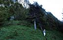 04-Lungo il sentiero CAI n.423 verso le pareti sommitali del monte Pisimoni