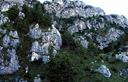 06-Rampe erbose presso i dirupi sommitali del monte Pisimoni