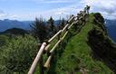 14-Protezioni in legno lungo il crinale del monte Puintat