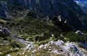 11-Lungo l'Alta Via CAI di Moggio verso la cresta del monte Chiavals