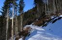 07-La pista forestale che attraversa il bosco Osonghen