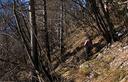 04-Lungo il sentiero CAI n.631 sulle pendici meridionali del monte Staulizze