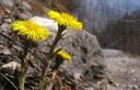 03-Farferugine in val Feron