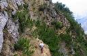19-Ripide pendici erbose con mughi sul versante occidentale del monte Taront