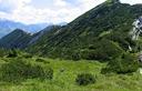 27-Boscaglia di mughi sulle pendici della Cima Mora