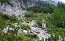 03-Boscaglia a pino mugo poco sopra il rifugio Zacchi