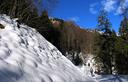 04-La pista forestale che risale il vallone del rio Tolina