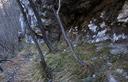 06-Cengia erbosa lungo il sentiero della Val Cosa