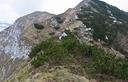 16-Mughi lungo la cresta est del monte Rodolino