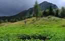 01-Il monte Burlat da malga Pezzeit di Sotto