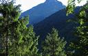 01-Il monte Verzegnis fa capolino tra la vegetazione