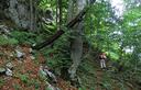 21-Brevi tratti di bosco sulle pendici del monte Burlat