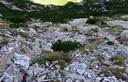 17-Il sentiero che scende tra i detriti nella conca sul versante nord del monte Chiampon