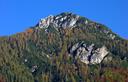 08-Bosco autunnale sulle pendici della Ponza Piccola