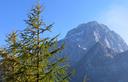 12-Il Mangart dall'Alpe del Lago