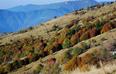 01-Colori d'autunno (foto Giuseppe Tolazzi)