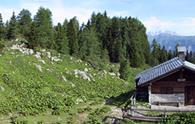 Nauleni (ricovero casera) - panorama parziale della radura