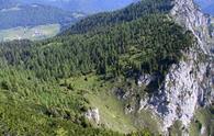 Grande (forchia)<!--sella forcella-->[Sauris]