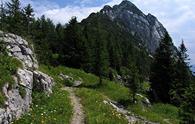 Pridola (sella della)<!--forcella-->