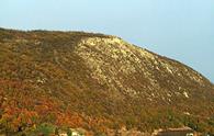 Bernadia (Monte)