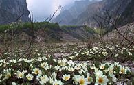 Val Chialedina da Cellino di sopra