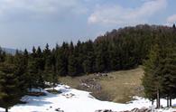 Ceresera (casera) - panorama parziale