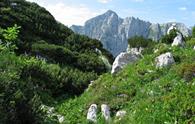 Lago (sella del)<!--forcella-->