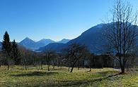 Feltrone (panorama parziale verso la valle del Tagliamento)