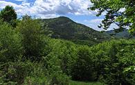 Anello del monte Vogu da Montefosca