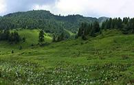 Bregolina Grande (ricovero casera) - panorama parziale