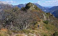 Traversata del Monte Laura dalla val Pentina