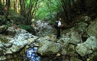 Sentiero Naturalistico del Gorgons da Taipana