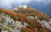 Serra di Crispo dal Rifugio Pino Loricato