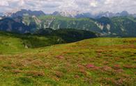 Sulla dorsale del Brutto Passo dal Lago di Sauris