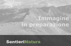 Eumetsat Alpi