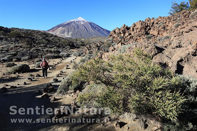 01-La vegetazione della caldera poco dopo il Portillo