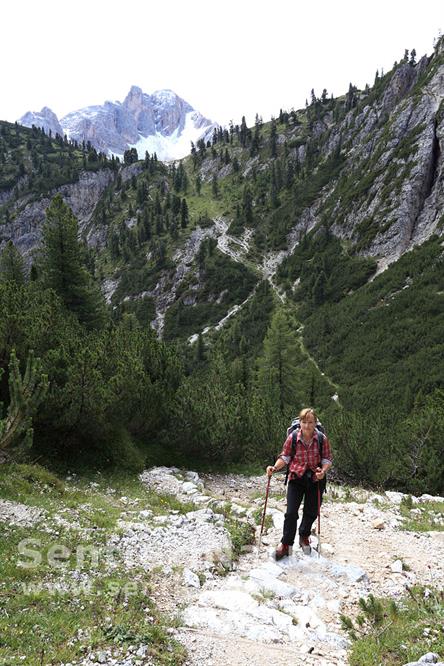 02-Lungo il sentiero di salita alla Malga Uces de Fojedora