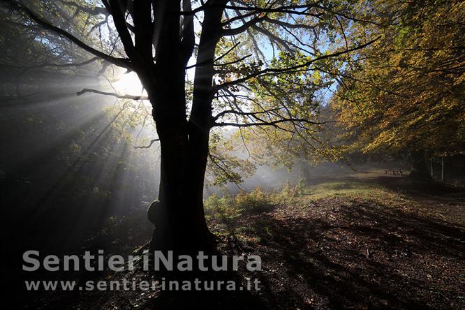 01-Giochi di luce sul crinale del Penna