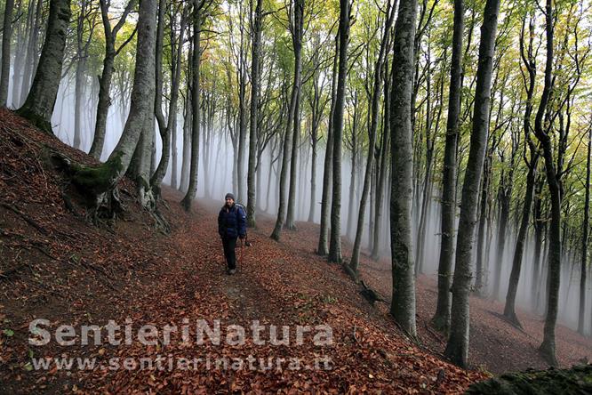 04-Banco di nebbia alle mie spalle