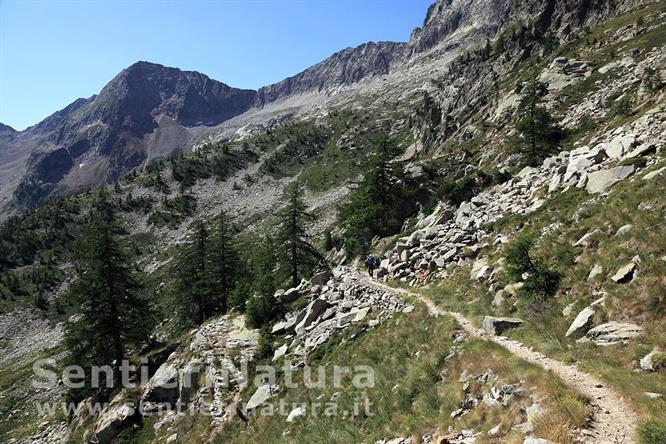 03-In salita sulla mulattiera per il colle di Fremamorta