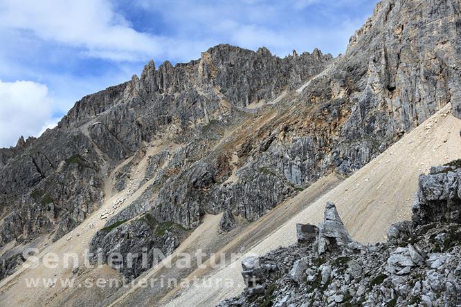 12-Le colate ghiaiose alle base delle pareti del Latemar