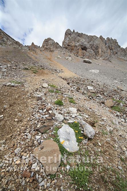 26-I ghiaioni che scendono da forcella del Ciadin