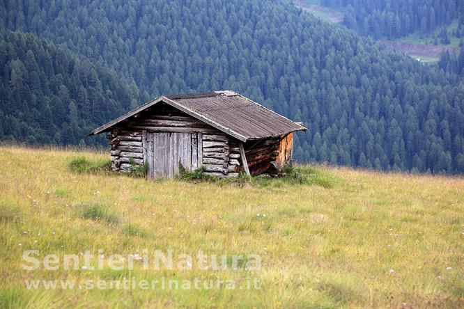 11-Un tabià nell'insellatura La Bassa