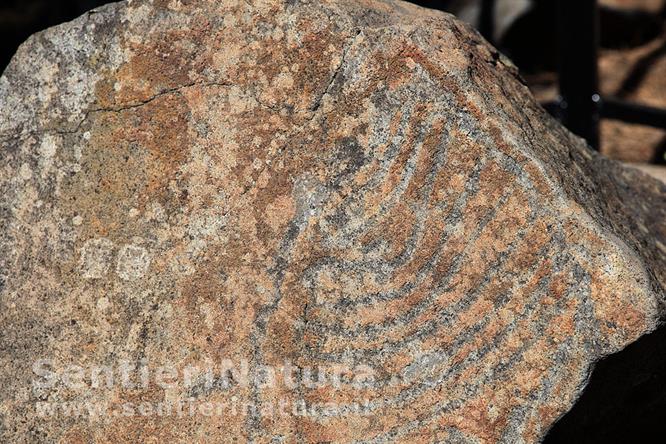 05-Petroglifo a spirale sul Pico Bejenado