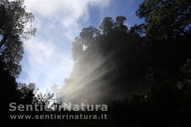08-Alcuni raggi di sole filtrano dalla nebbia - Marcos y Cordero