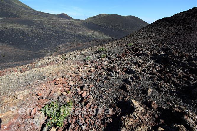 16-Terreno vulcanico alla base del Teneguia - Vulcano San Antonio e Teneguia