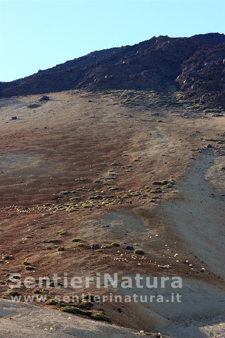 05-Alla base del cono del Teide